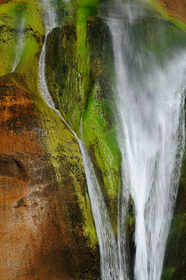 DSC_2239.jpg (4288x2848) NIKON D300 - 18-200mm f/3.5-5.6 // F25 // 0.04 sec // ISO 200 // 60,0 mm // no Flash // 2008:07:14 10:19:37 DSC_2239.jpg (4288x2848) NIKON D300 - 18-200mm f/3.5-5.6 // F25 // 0.04 sec // ISO 200 // 60,0 mm // no Flash // 2008:07:14 10:19:37